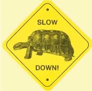 “Slow Down, You Move Too Fast…..”